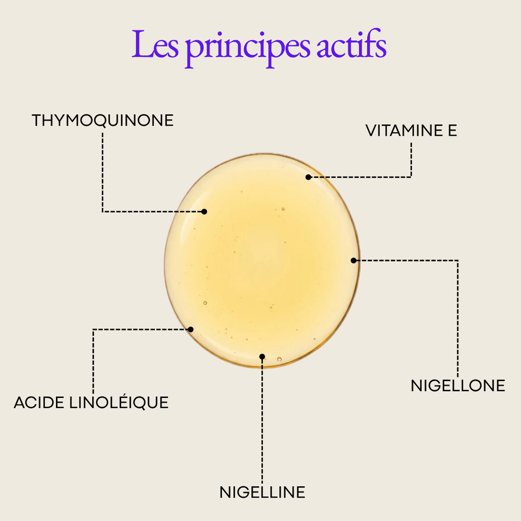 Huile de Nigelle (cumin noir) - Bio & Pressée à froid
