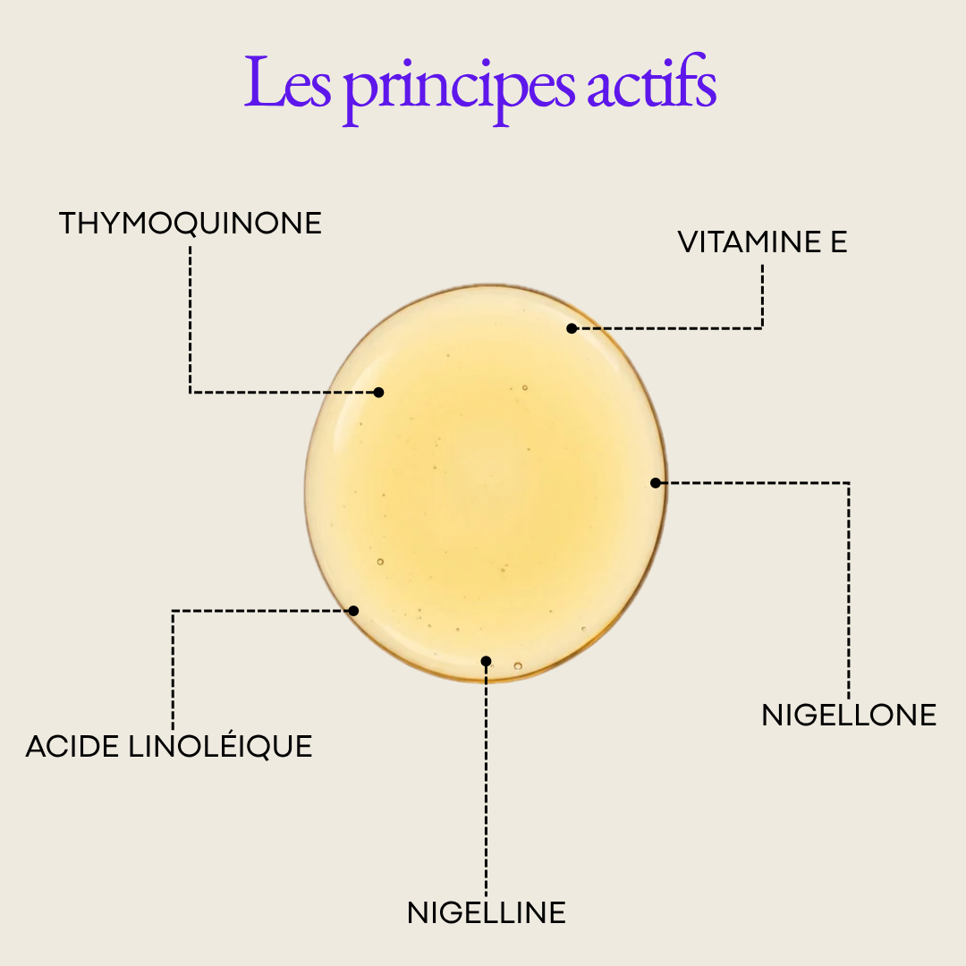 Huile de Nigelle (cumin noir) - Bio & Pressée à froid