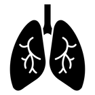 Sphère Respiratoire